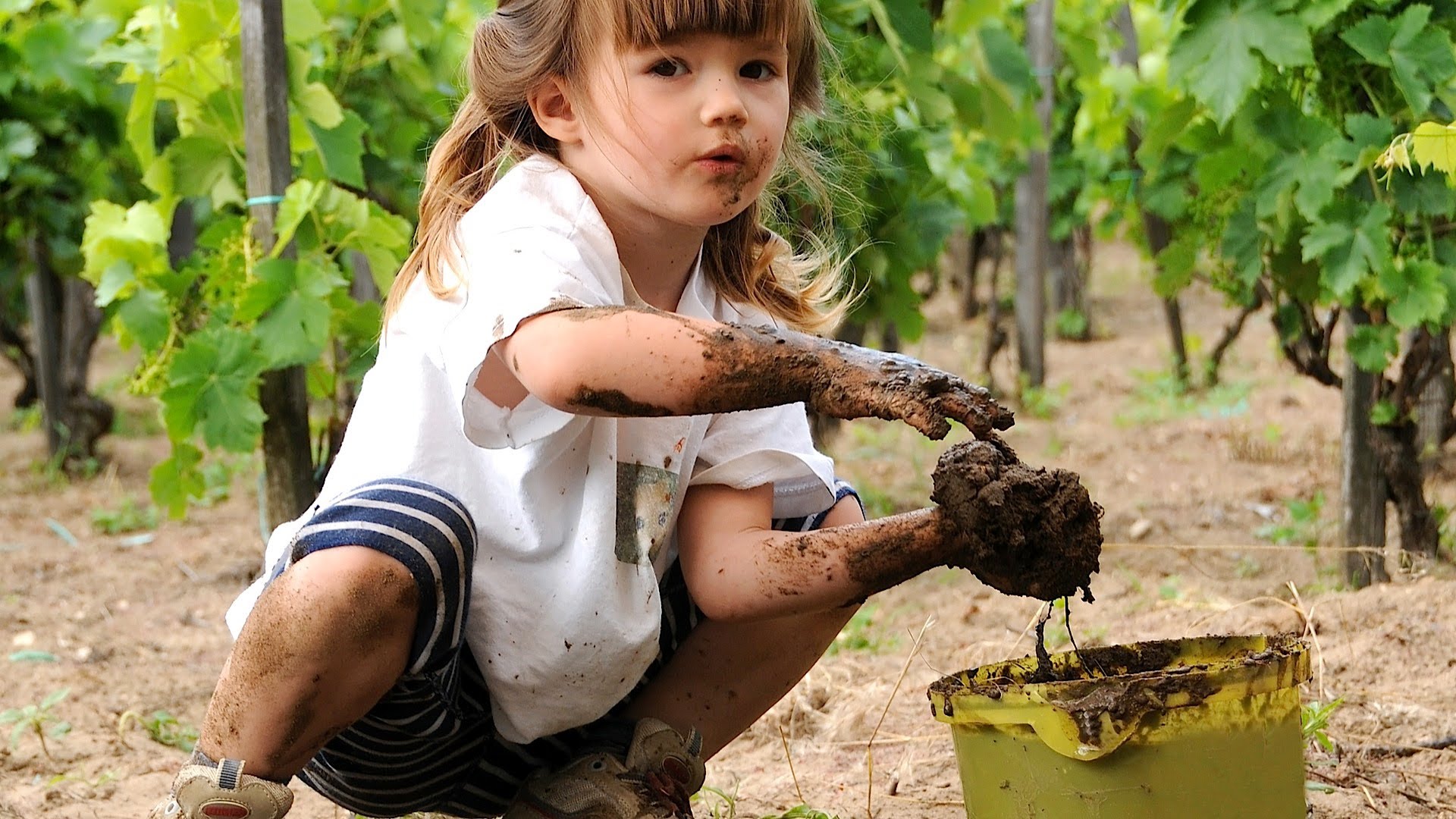 Ешьте фрукты немытые. Почва для детей. Немытые овощи и фрукты. Ребенок ест грязными руками.