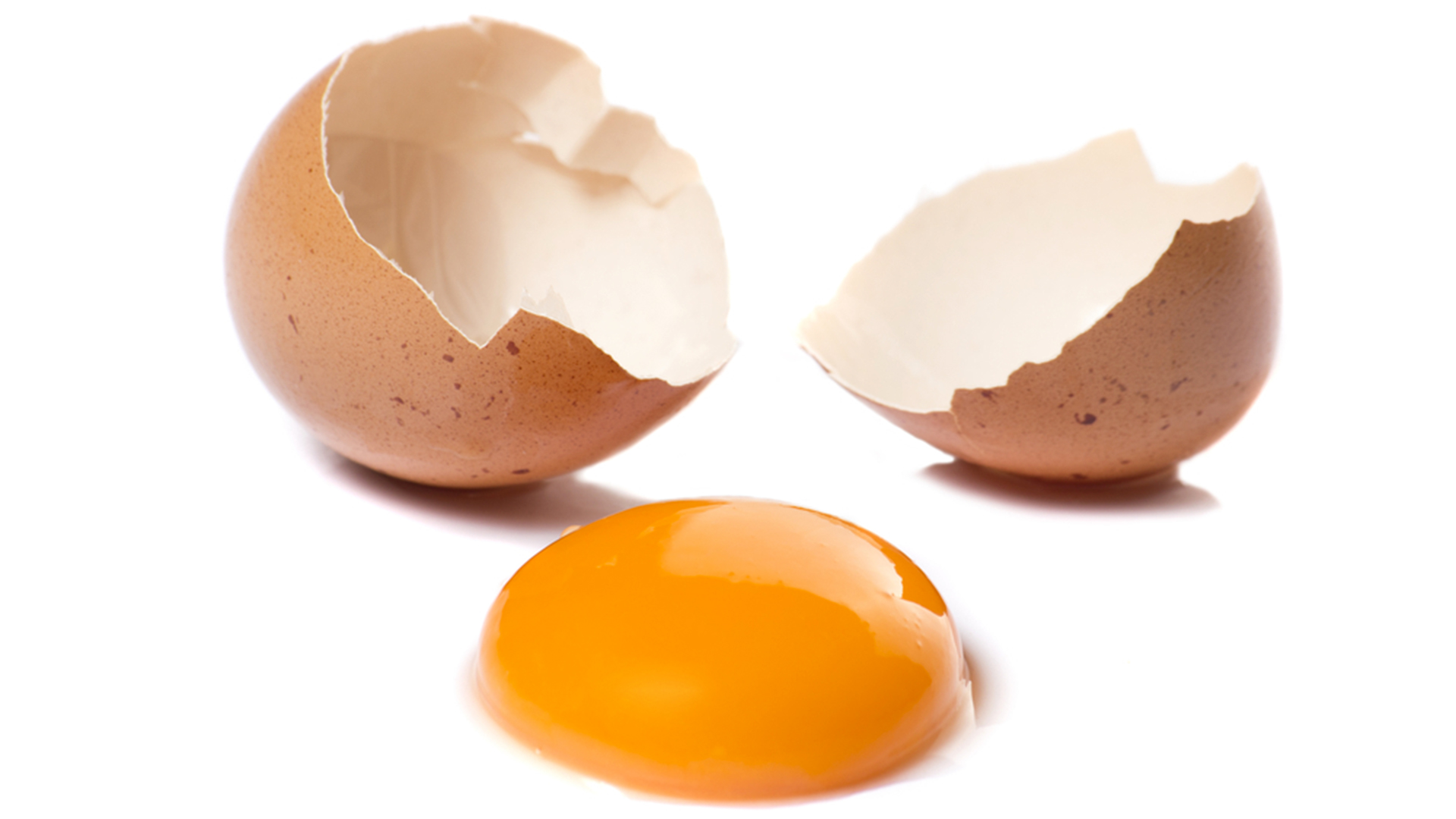 К чему снятся разбитые сырые яйца. Разбитое яйцо. Скорлупа яиц. Яйцо куриное. Яйцо для фотошопа.